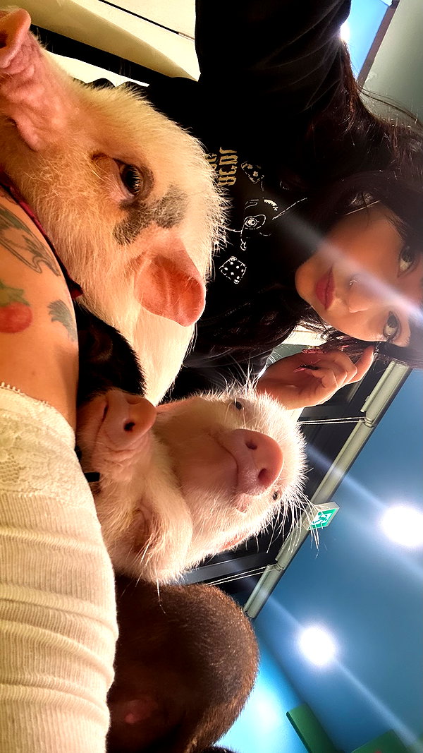 Archived image from @yam_adler on Instagram
