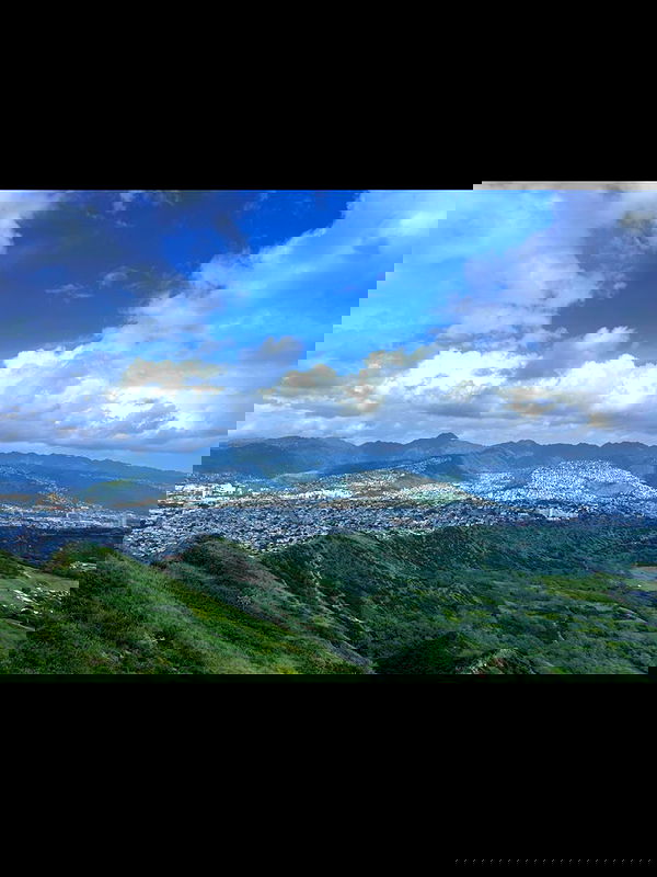 ellamwatts_ ellamwatts_ archive image