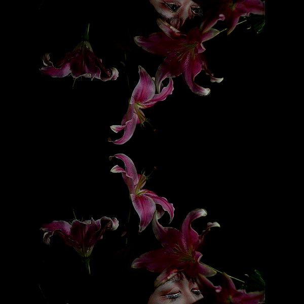 muze instagram image archive image