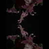 muze Altpins Profile Picture