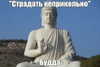 dwpolin Altpins Profile Picture