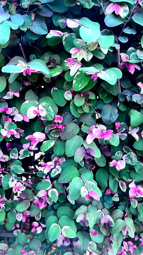 alex.banin instagram image archive image