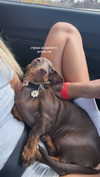maya.keyy Altpins Profile Picture