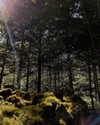 gritsa.k Altpins Profile Picture