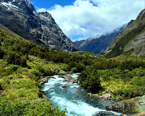 maori_cohen instagram image archive image