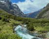 maori_cohen Altpins Profile Picture
