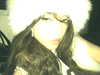 acursito Altpins Profile Picture
