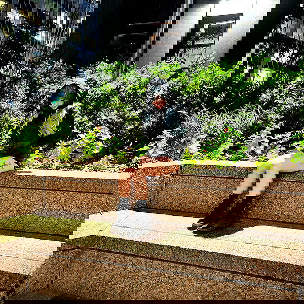 missnyxdawn missnyxdawn archive image