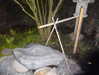 olfich4n Altpins Profile Picture