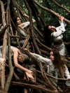 suspiria.em Altpins Profile Picture