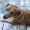 maori_cohen Altpins Profile Picture