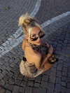 samantra_official Altpins Profile Picture