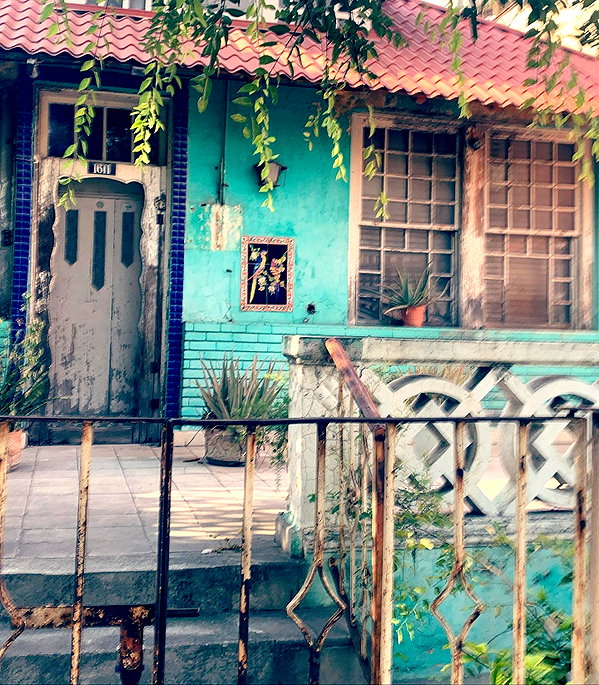 lasaaagna instagram image archive image