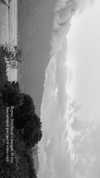 veroni22ka Altpins Profile Picture