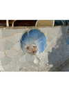 biohazard.g1rl Altpins Profile Picture