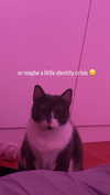 vive.la.lucy Altpins Profile Picture