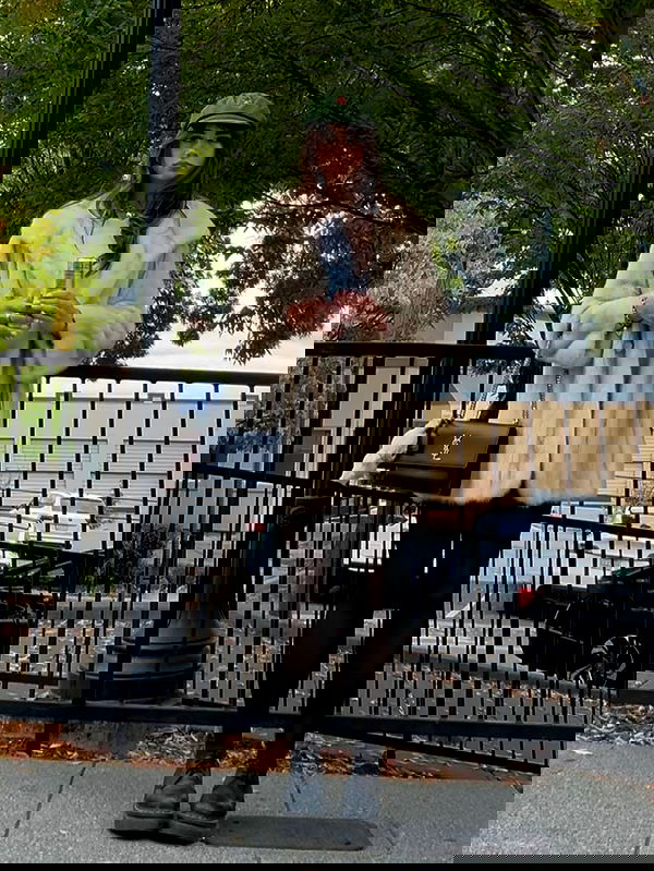 haylujan haylujan archive image