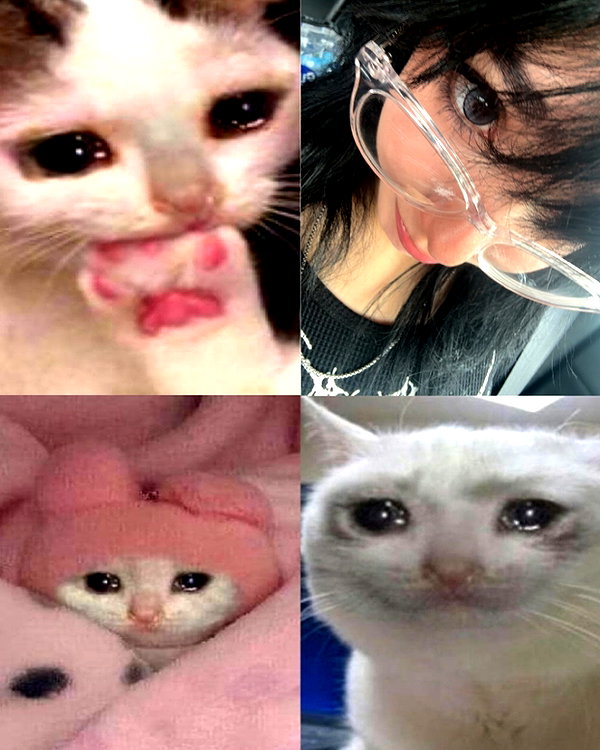grogusmami instagram image archive image