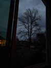 kimberr_0000 Altpins Profile Picture