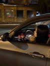 zhenya_meval Altpins Profile Picture