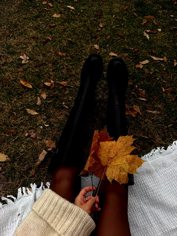 alishevs instagram image archive image