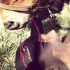 gigihadid Altpins Profile Picture