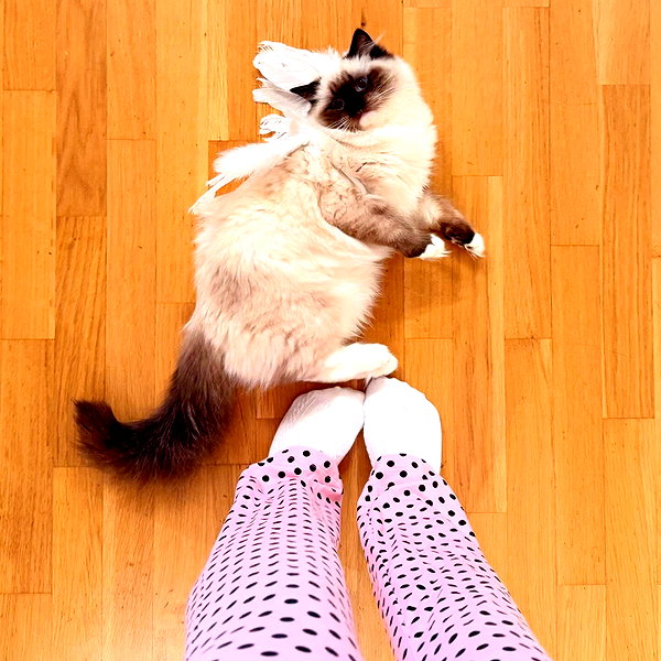 leni.bahr instagram image archive image