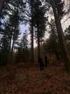 mollieruck Altpins Profile Picture