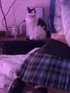 livindeadyaz Altpins Profile Picture