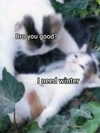 milkiwifey Altpins Profile Picture