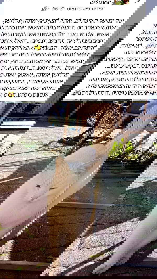 mishel116 mishel116 archive image