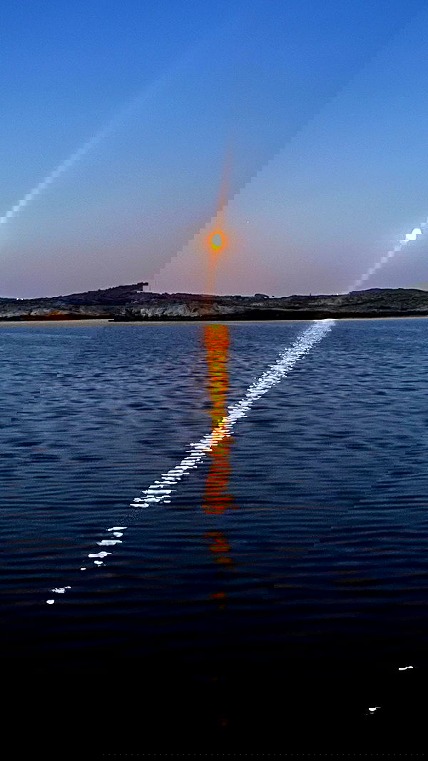 taylor.creeden taylor.creeden archive image