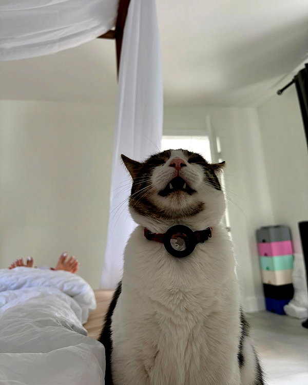 peachtoot.plz instagram image archive image