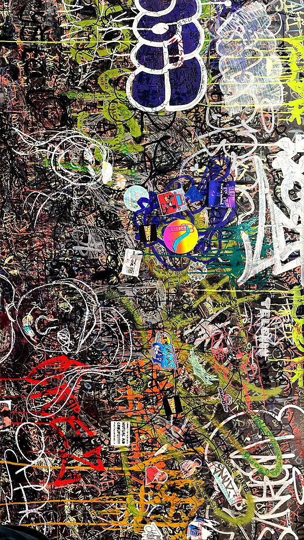shakeddri shakeddri archive image