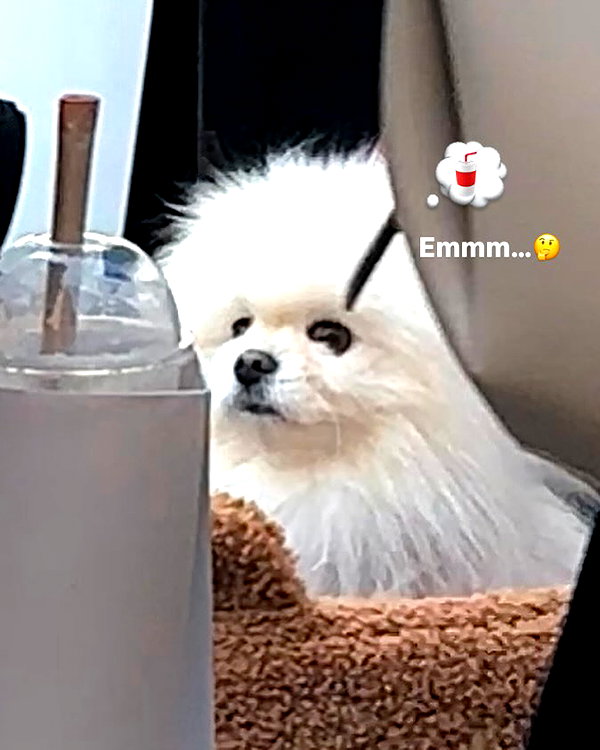 ll.lu1s instagram image archive image