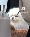 ll.lu1s Altpins Profile Picture