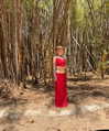 strawberryshanz Altpins Profile Picture