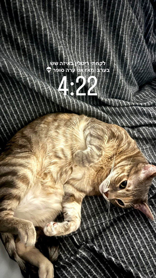 Archived image from @notchicore on Instagram
