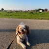 hadar._.z Altpins Profile Picture