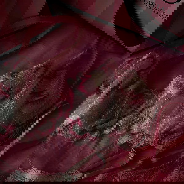 pollcherri pollcherri archive image