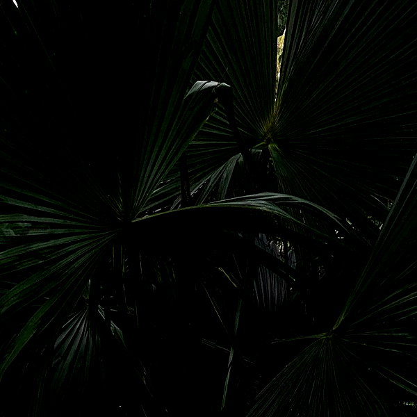 veroni22ka instagram image archive image