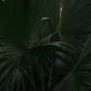 veroni22ka Altpins Profile Picture