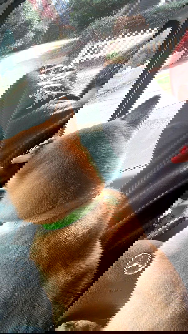 zommmbri zommmbri archive image