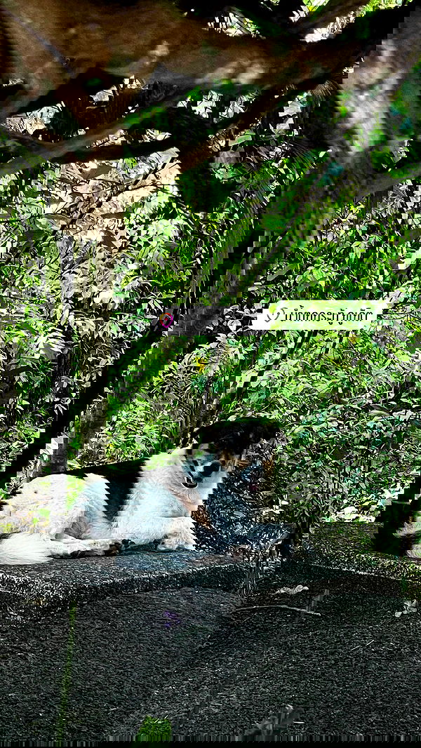 kteaworld kteaworld archive image