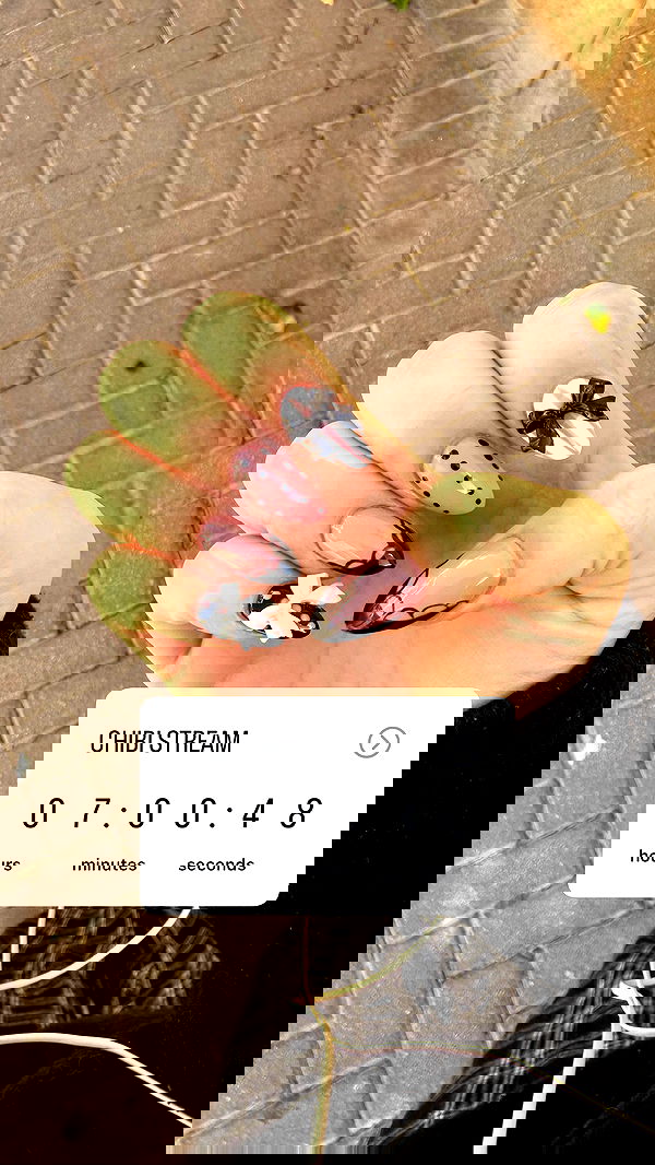 chibinekopurr chibinekopurr archive image