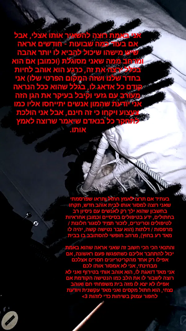 moonyyyya moonyyyya archive image