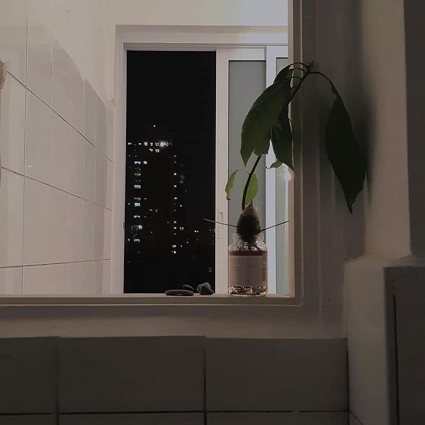 yanavekno instagram image archive image