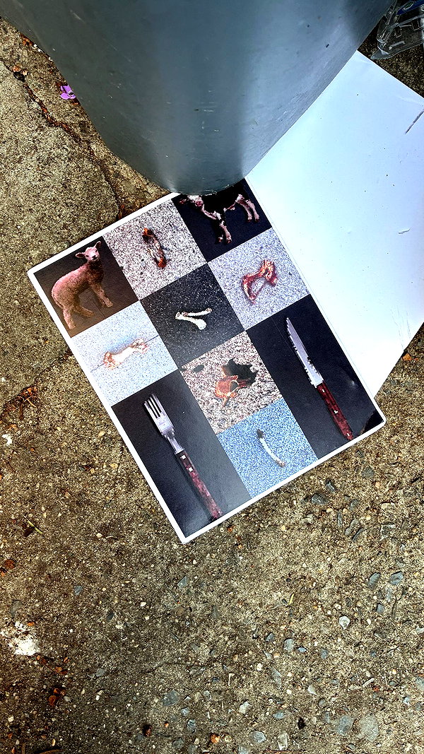 onlyway2liv instagram image archive image