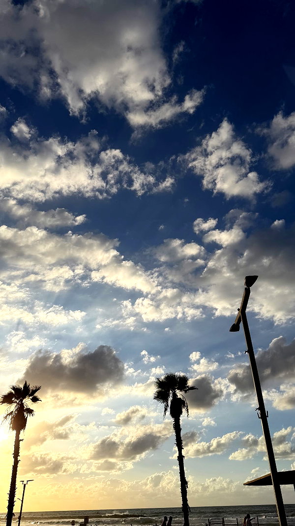 gal__wolfson instagram image archive image