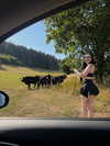 karin_orhov Altpins Profile Picture